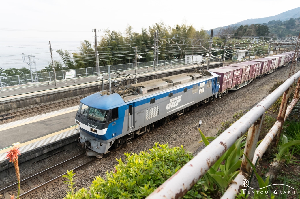 根府川駅を通過する貨物列車