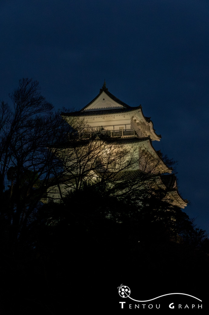 ライトアップされた小田原城